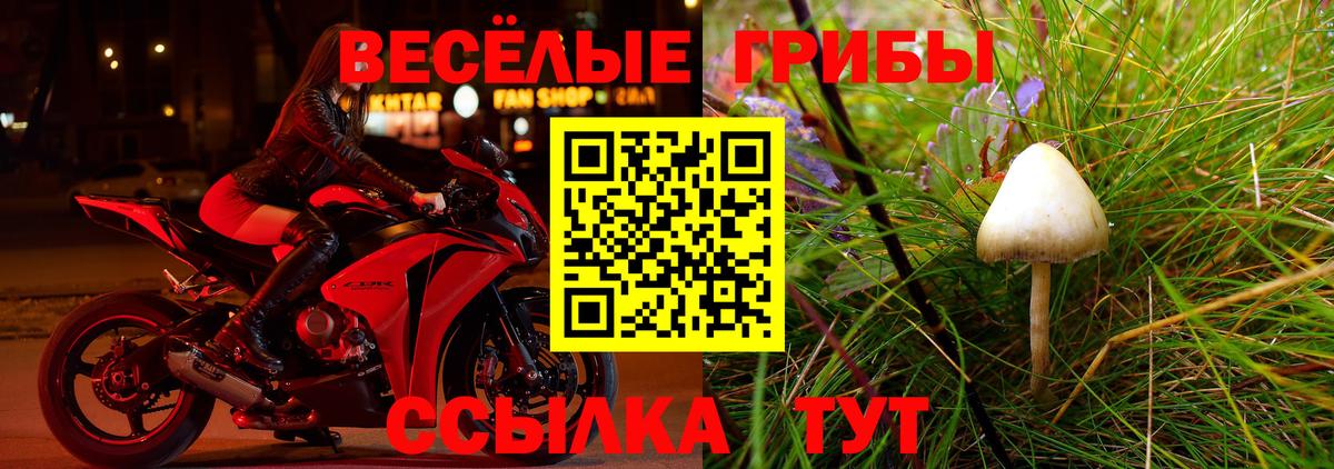 Верхняя Пышма  купить   Вход с VPN  Псилоцибиновые грибы ЛСД  Псилоцибиновые грибы мицелий 